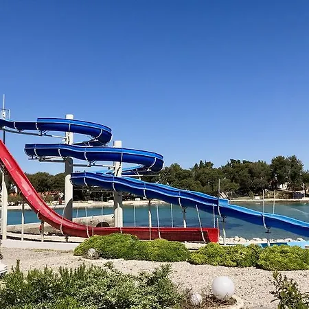 Dot Deluxe سوبيتار