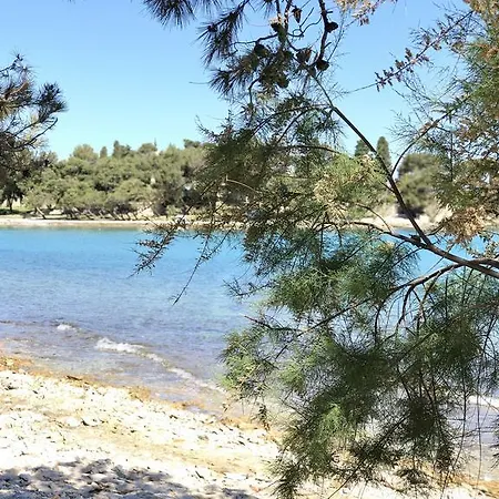 شقة Dot Deluxe سوبيتار